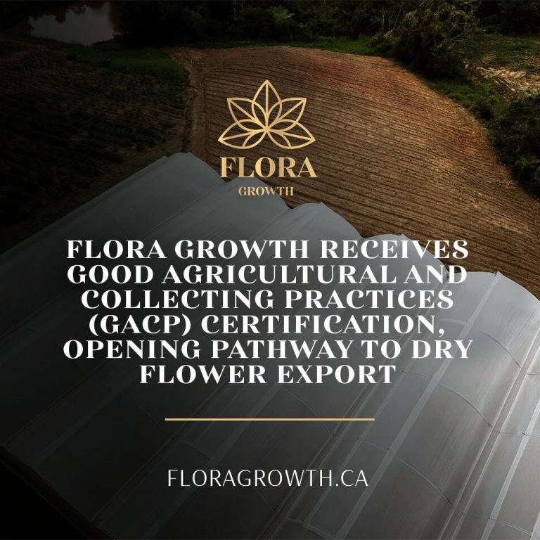 Flora growth receives good agricultural and collection practices gacp certification opening pathway to dry flower export